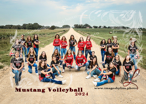SylvanVB_Team_8250_2024-2
