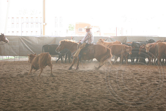 698_IMG_9897_2009.JPG