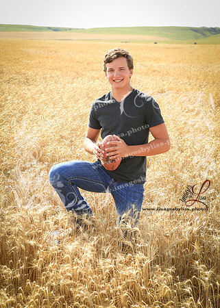 Alex_4466_2019