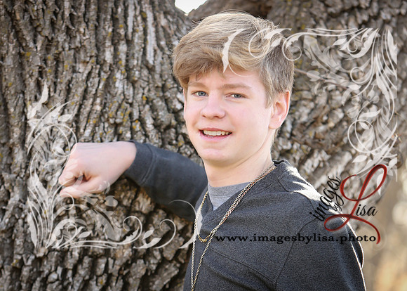 Noah_1382_2017